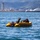 U.S. Marines, JMSDF Sailors reinforce maritime readiness during Rescue Flag 26-1 A yellow inflatable rubber dinghy with a Yamaha 15 outboard motor is operating on open blue water. Three individuals wearing helmets and dark gear are aboard, with one appearing to be lying down or being assisted, suggesting a rescue or training operation. An industrial waterfront with a tall tower structure and green hills is visible in the background.