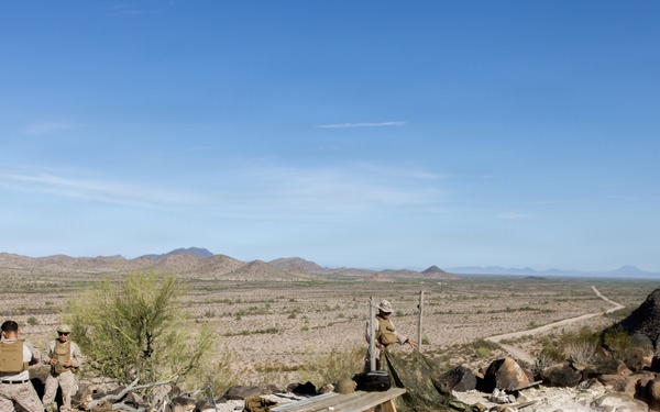 5th Air Naval Gunfire Liaison Company Marines conduct live-fire close air support