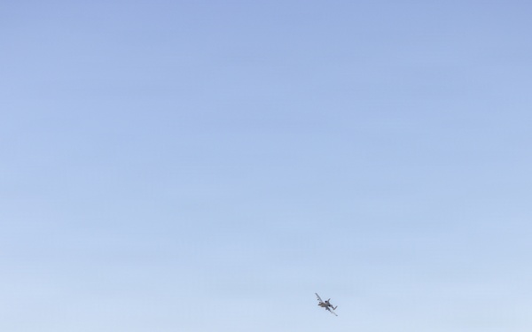 5th Air Naval Gunfire Liaison Company Marines conduct live-fire close air support