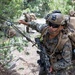 3rd Bn., 4th Marines practice cliff assaults during MTX 4-26