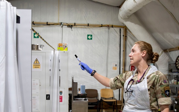 2-37 AR and Allies work side by side during joint medical training in Poland