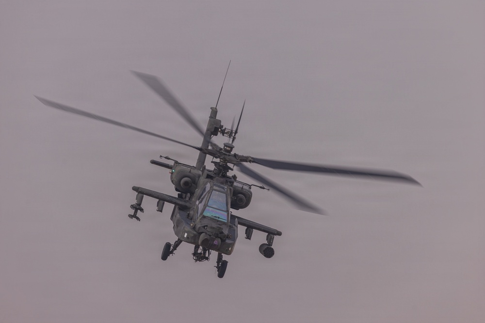 Sky Shield LFX - DV Day