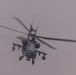 Sky Shield LFX - DV Day