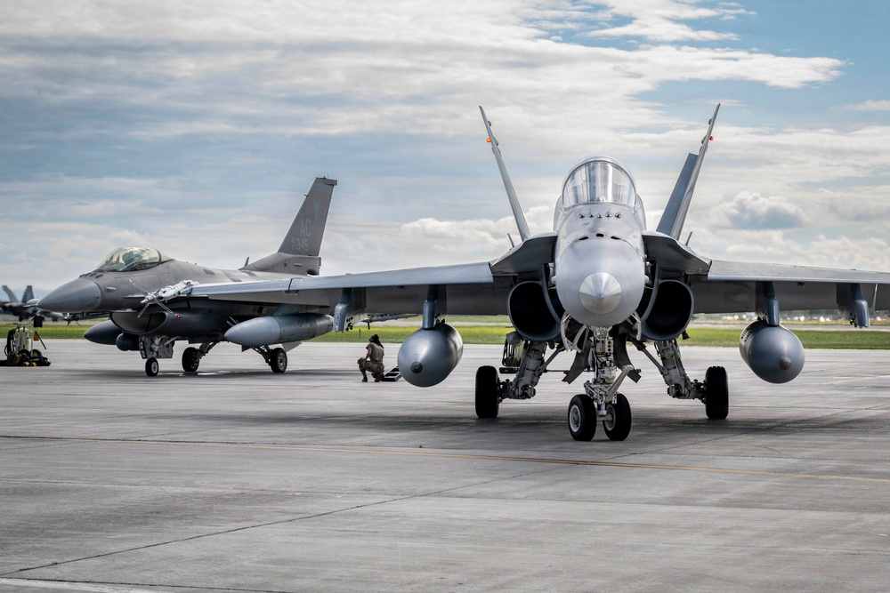Two military fighter jets are parked on a concrete flight line apron at what appears to be a military air base. The foreground aircraft is an F/A-18 Hornet or Super Hornet viewed head-on, while the background aircraft is an F-16 Fighting Falcon. At least one ground crew member is visible crouching near the aircraft on the tarmac.
