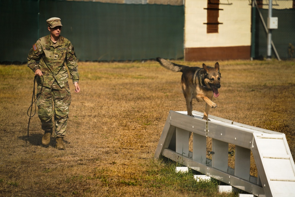 Military Working Dog, Edzsi and handler, Sgt. Brianna Plush demonstrates training at new Military Working Dog Kennel.