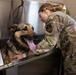 Sgt. Brianna Plush gives a bath to Edzsi, one of the detachment’s military working dogs trained in explosives detection.