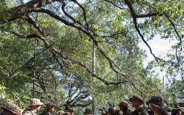Charlie Company Crucible