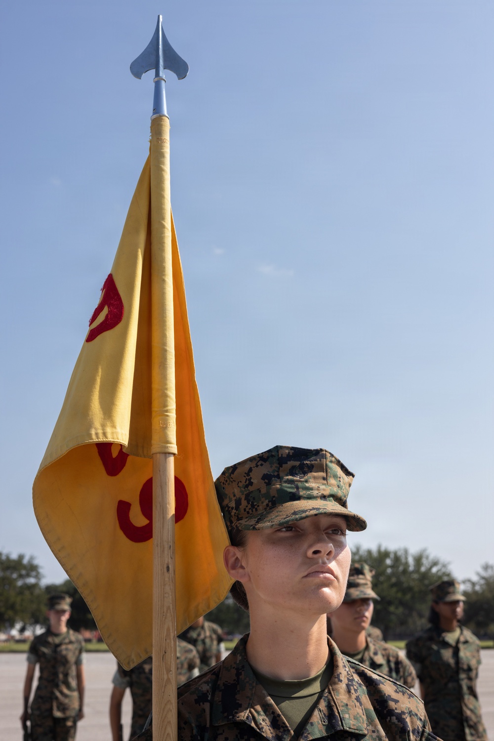 November Company Initial Drill