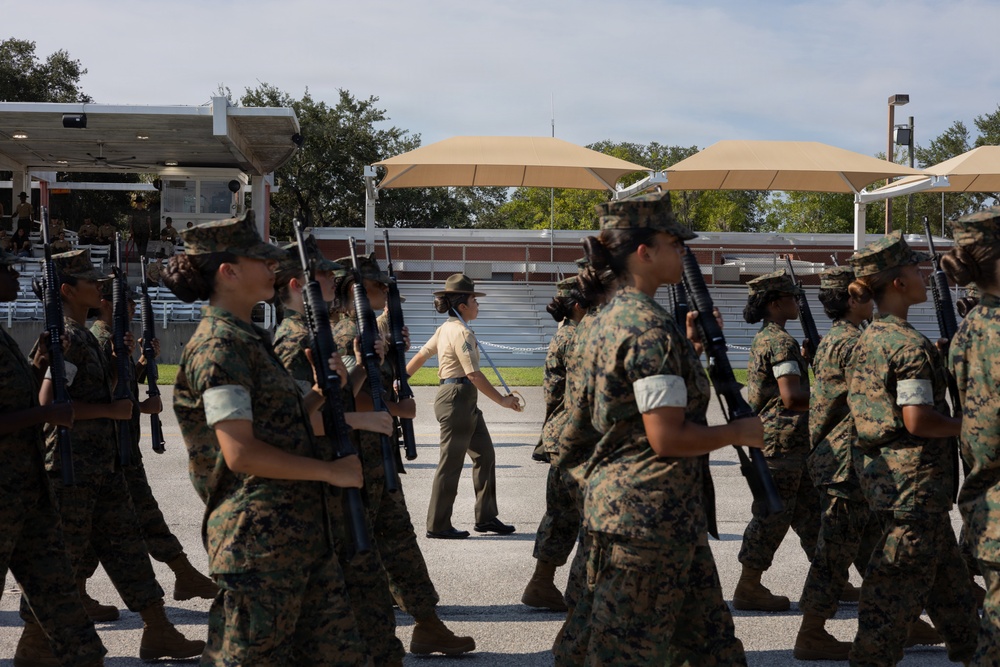 November Company Initial Drill