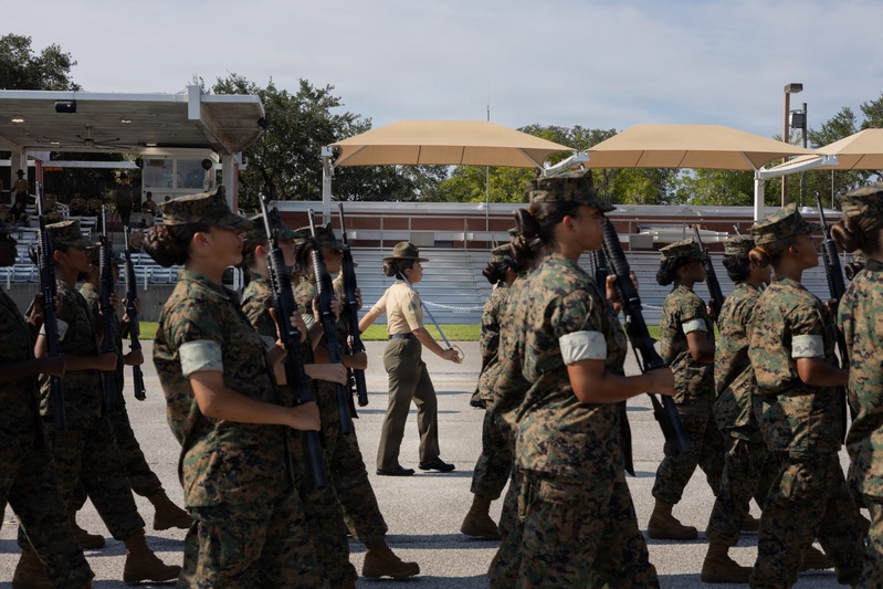 November Company Initial Drill