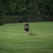 A male athlete is performing a resistance sled drag exercise on a well-maintained green grass field. He is wearing military-style workout attire including a camouflage plate carrier vest, black shorts with 'ARMY' text, and is pulling a weighted sled using straps. The setting appears to be an open field surrounded by dense green trees, suggesting an outdoor military or athletic training session.