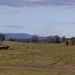 U.S. Marines with 1st LAR participate in live-fire exercise during the Coral-Balmoral Cup
