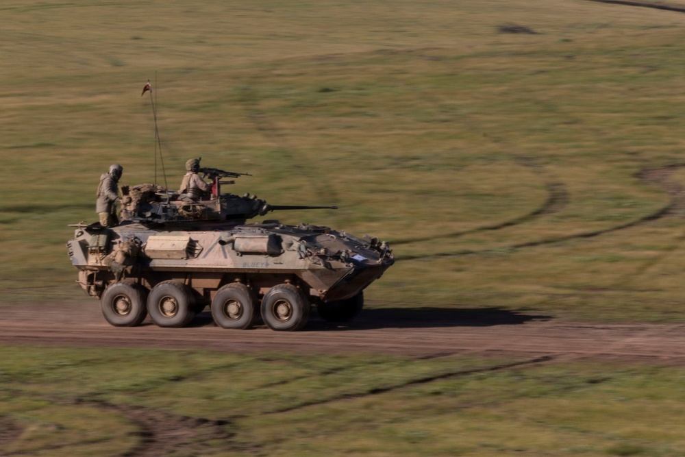 U.S. Marines with 1st LAR participate in live-fire exercise during the Coral-Balmoral Cup