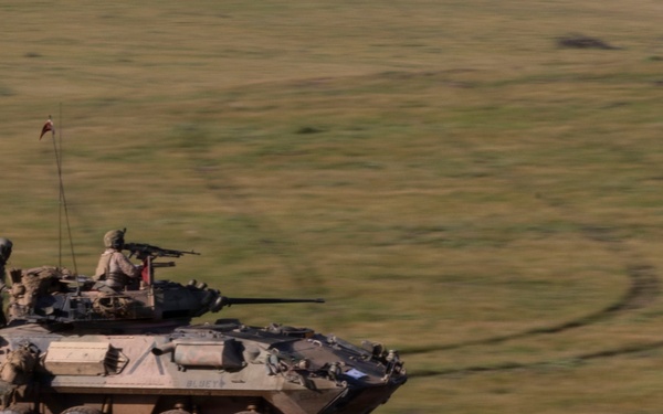 U.S. Marines with 1st LAR participate in live-fire exercise during the Coral-Balmoral Cup