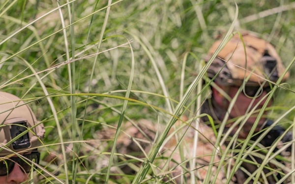 Two military personnel in camouflage uniforms and tactical helmets are partially concealed within tall green grass, suggesting a reconnaissance or concealment exercise. Both individuals are wearing sunglasses and tactical gear consistent with modern military operations. The dense vegetation obscures much of their bodies, indicating deliberate use of natural cover.
