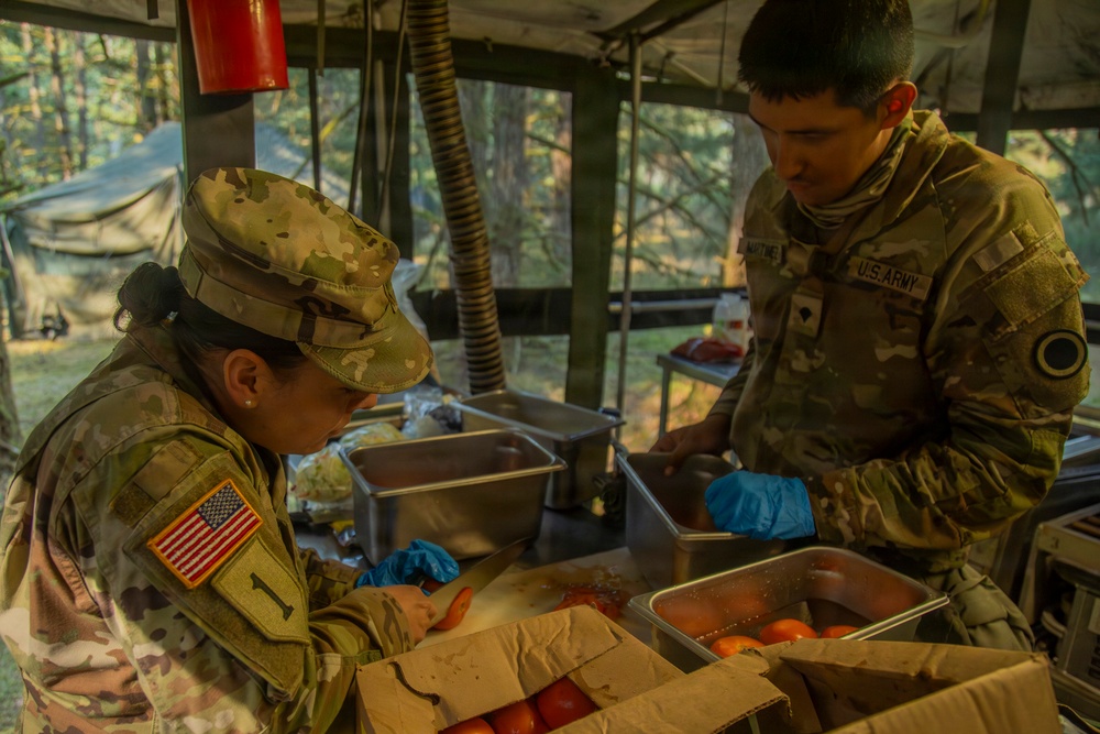 564th Quartermaster Company Culinary Specialists Compete in Philip A. Connelly Competition: Day 2 Field Feeding Operations