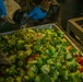 564th Quartermaster Company Culinary Specialists Compete in Philip A. Connelly Competition: Day 2 Field Feeding Operations