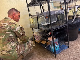 Fort Hunter Liggett—Sustaining the Land That Powers Readiness