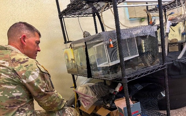 Fort Hunter Liggett—Sustaining the Land That Powers Readiness