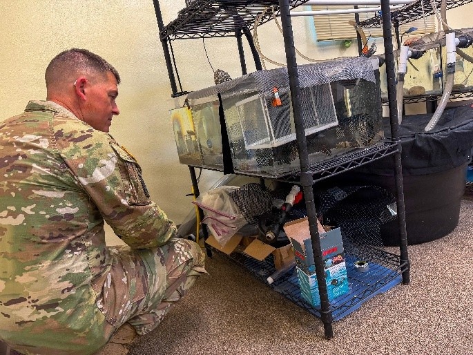 Fort Hunter Liggett—Sustaining the Land That Powers Readiness