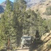 A large military-style cargo truck is traveling down a narrow, unpaved mountain dirt road surrounded by conifer trees. The rugged alpine terrain features rocky slopes, sparse high-altitude vegetation, and dramatic mountain peaks visible in the background. The scene appears to be at high elevation, likely in a western U.S. mountain range such as the Sierra Nevada or Rocky Mountains.