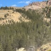 Two military vehicles are traveling along a narrow dirt mountain road in a rugged, forested alpine environment. The lead vehicle appears to be a tan/desert-colored Joint Light Tactical Vehicle (JLTV) or similar MRAP-type vehicle, followed by a larger olive-drab military truck. The convoy is kicking up dust as it navigates the steep terrain surrounded by conifer trees and rocky mountain peaks.