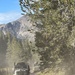 Two military-style heavy trucks are traveling in convoy along a narrow, unpaved dirt road through a mountainous forested area. The vehicles are kicking up significant dust as they navigate the trail lined with conifer trees. A large rocky mountain peak is visible in the background under a partly cloudy blue sky.
