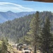 A military convoy of tactical vehicles is traveling along a narrow dirt mountain road surrounded by dense conifer forest. The lead vehicle appears to be an JLTV (Joint Light Tactical Vehicle) or similar MRAP-type vehicle, followed by at least two larger military cargo trucks. The setting appears to be a high-altitude mountainous region, likely in the western United States based on the terrain and vegetation.