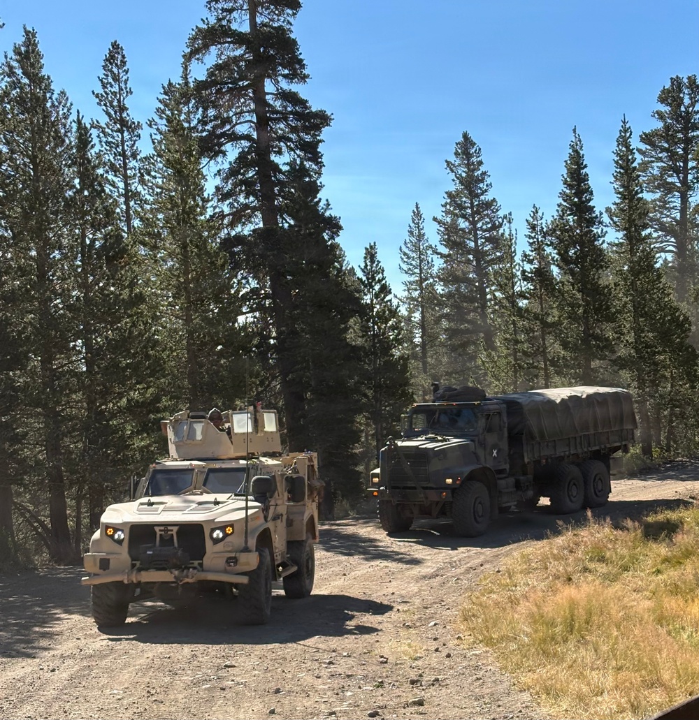 Two military vehicles are traveling along a dirt/gravel road through a coniferous forest under clear blue skies. The convoy consists of a tan/desert-colored Joint Light Tactical Vehicle (JLTV) in the lead and an olive drab Medium Tactical Vehicle (MTV/LMTV) cargo truck following behind. At least one soldier is visible manning a turret position on the lead vehicle.