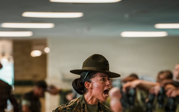 India Company Pick Up