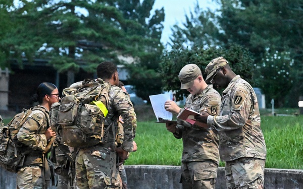 U.S. Army Soldiers Participate in the Royal Danish Air Force March