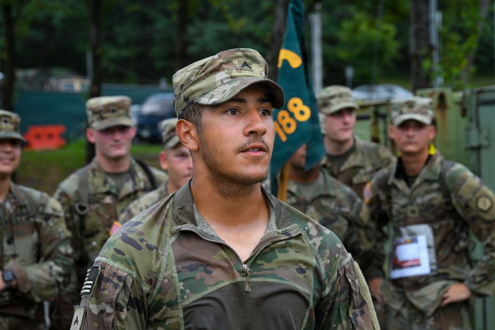 U.S. Army Soldiers Participate in the Royal Danish Air Force March
