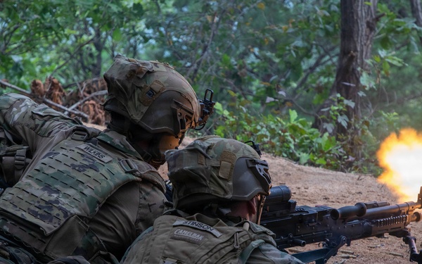 Combined Arms Life Fire Exercise(CALFEX)