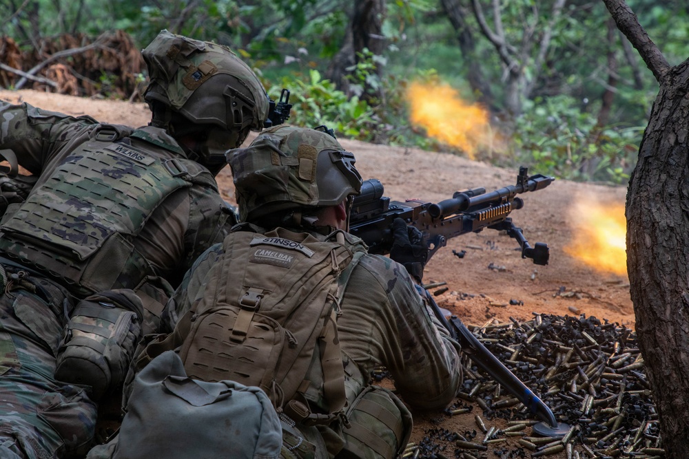 Combined Arms Life Fire Exercise (CALFEX)