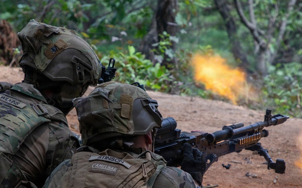 Combined Arms Life Fire Exercise (CALFEX)