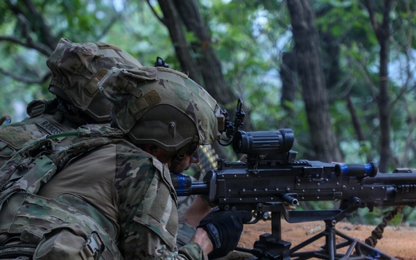 Combined Arms Life Fire Exercise (CALFEX)
