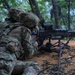 Combined Arms Life Fire Exercise (CALFEX)