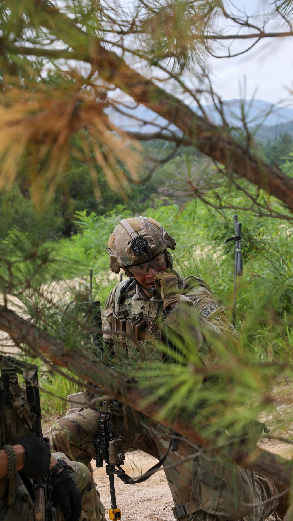 Combined Arms Life Fire Exercise (CALFEX)