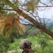 Combined Arms Life Fire Exercise (CALFEX)