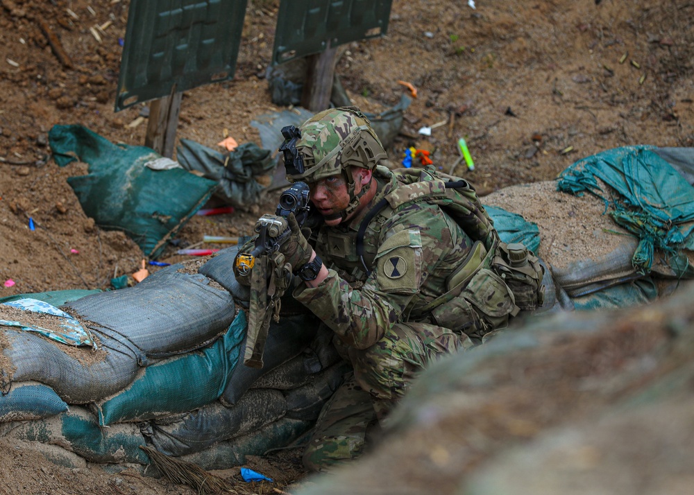 Combined Arms Life Fire Exercise (CALFEX)