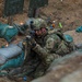 Combined Arms Life Fire Exercise(CALFEX)