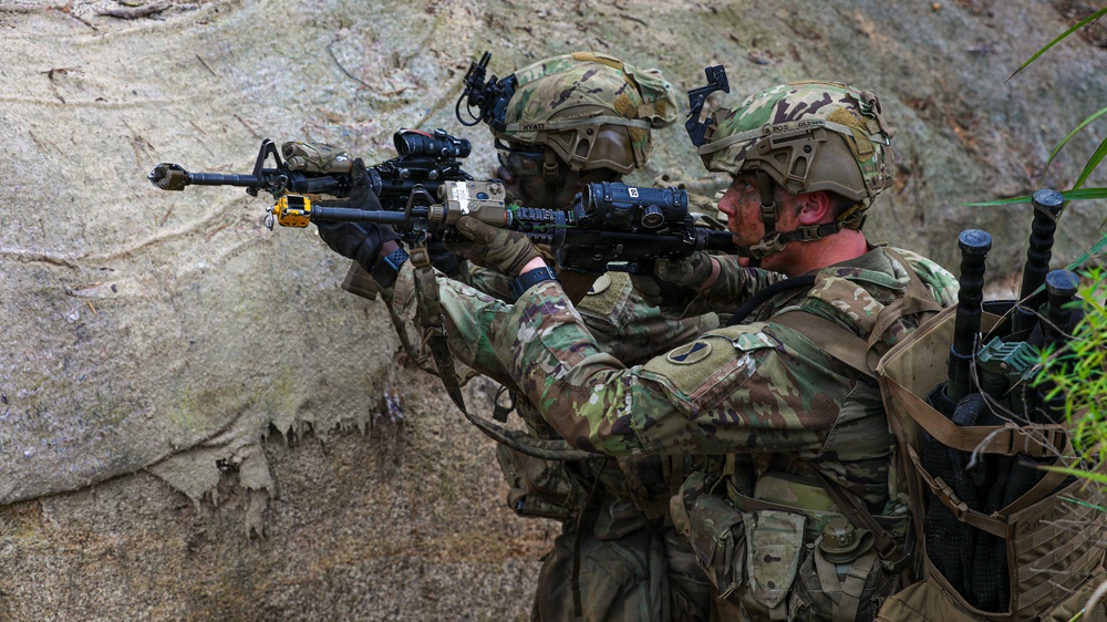 Combined Arms Life Fire Exercise(CALFEX)