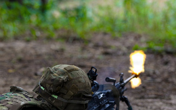 Combined Arms Life Fire Exercise (CALFEX)