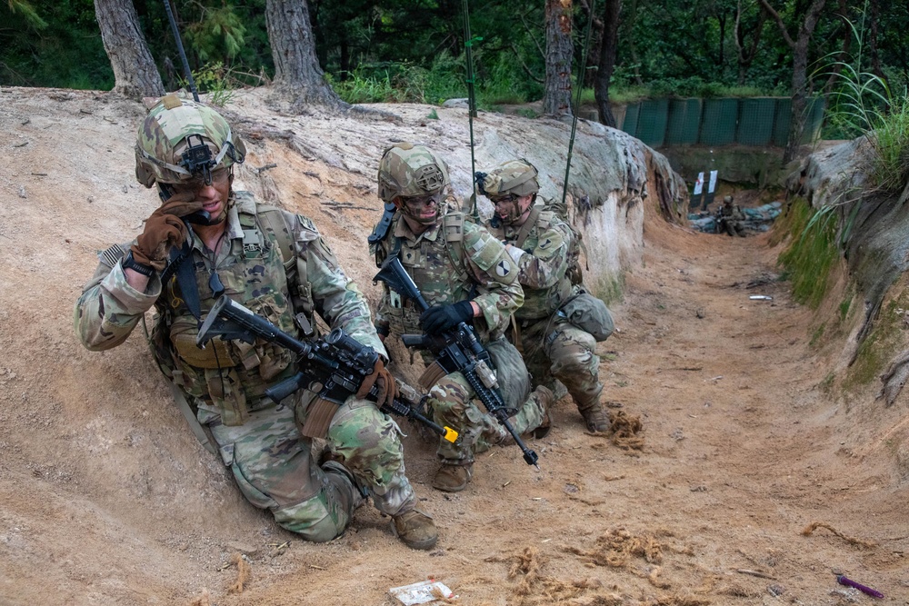 Combined Arms Life Fire Exercise (CALFEX)