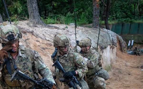 Combined Arms Life Fire Exercise (CALFEX)