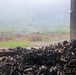 Combined Arms Life Fire Exercise(CALFEX)
