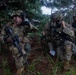 Combined Arms Life Fire Exercise(CALFEX)