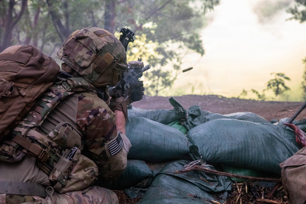 Combined Arms Life Fire Exercise(CALFEX)