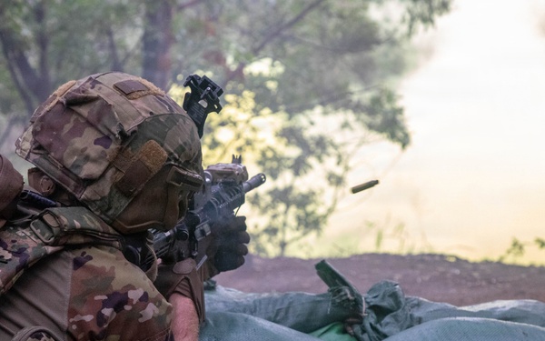 Combined Arms Life Fire Exercise(CALFEX)