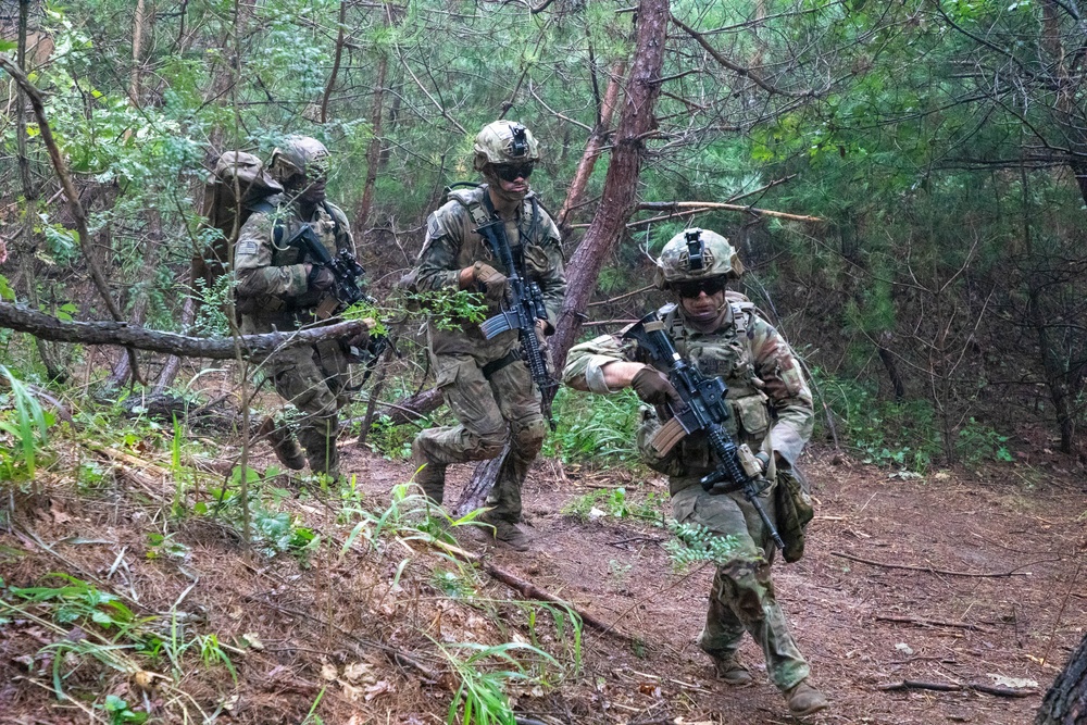 Combined Arms Life Fire Exercise(CALFEX)